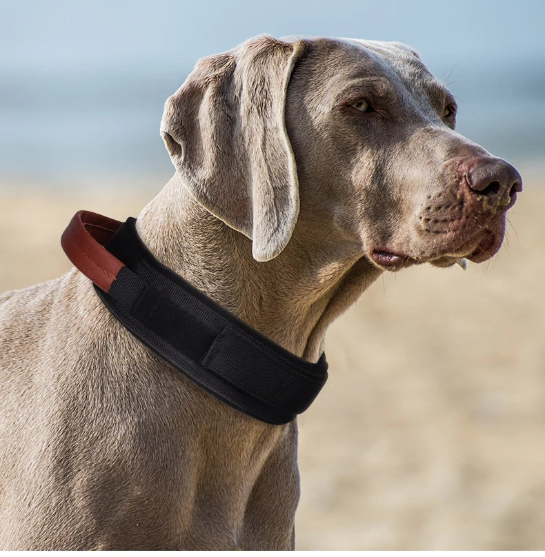 Dog Collar with Innovative Magnetic Buckle Secure and Stylish Magnetic Closure Collars Adjustable for Large Dogs Accessories
