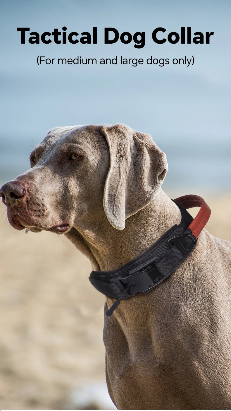 Dog Collar with Innovative Magnetic Buckle Secure and Stylish Magnetic Closure Collars Adjustable for Large Dogs Accessories
