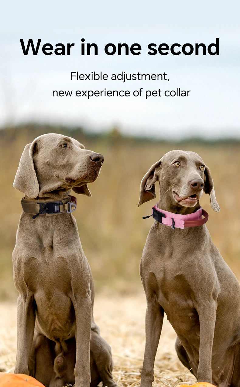 Dog Collar with Innovative Magnetic Buckle Secure and Stylish Magnetic Closure Collars Adjustable for Large Dogs Accessories
