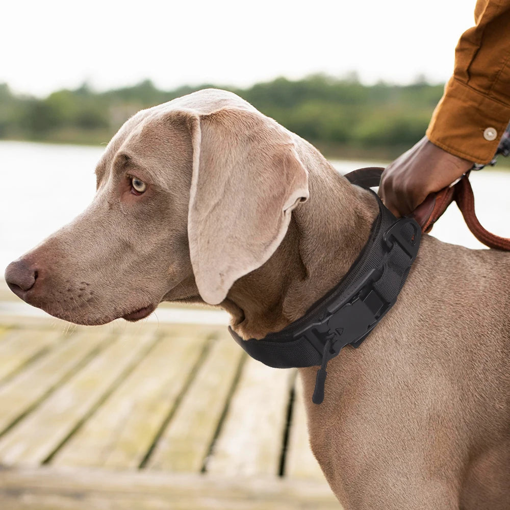 Dog Collar with Innovative Magnetic Buckle Secure and Stylish Magnetic Closure Collars Adjustable for Large Dogs Accessories