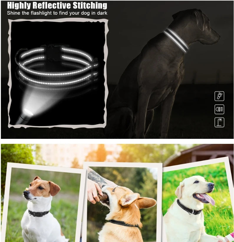 Dog Collar Nylon Soft Padded Adjustable Breathable Durable Comfortable Reflective Pet Collar for Small Medium Large Dog Bone Tag