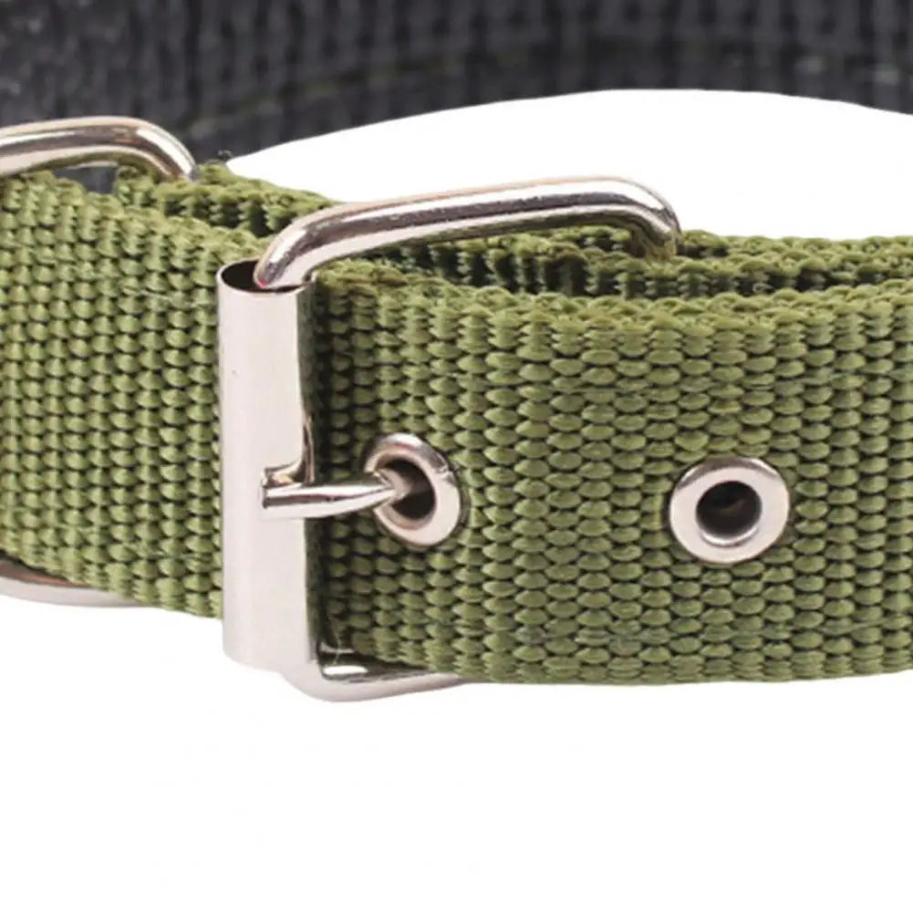 Dog Collars,Nylon,Adjustable Dog Neck Circle,Long-lasting Pet Neck Strap,with Traction Ring,Teddy Keji Pitbull,Pet Supplies