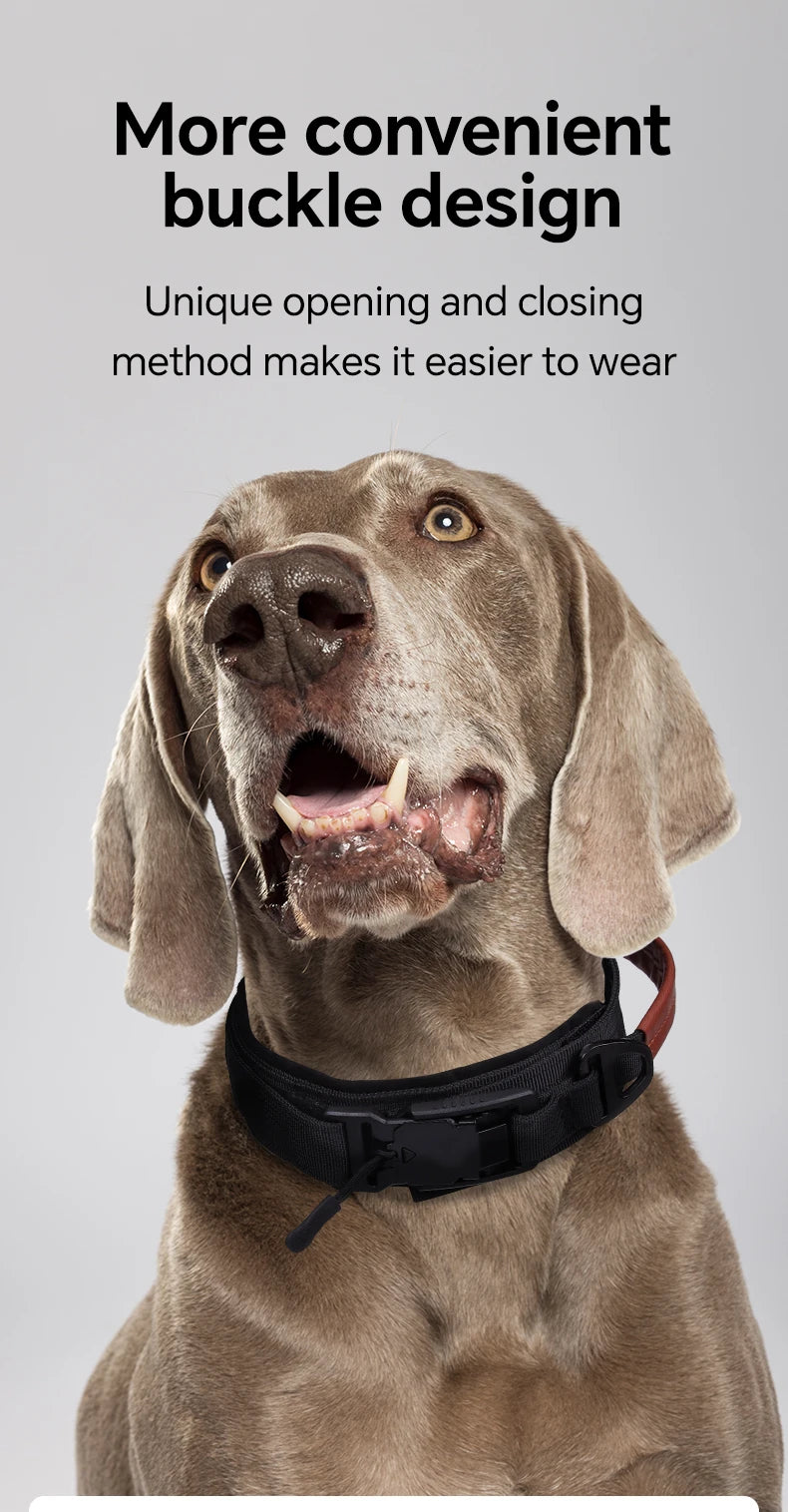 Dog Collar with Innovative Magnetic Buckle Secure and Stylish Magnetic Closure Collars Adjustable for Large Dogs Accessories