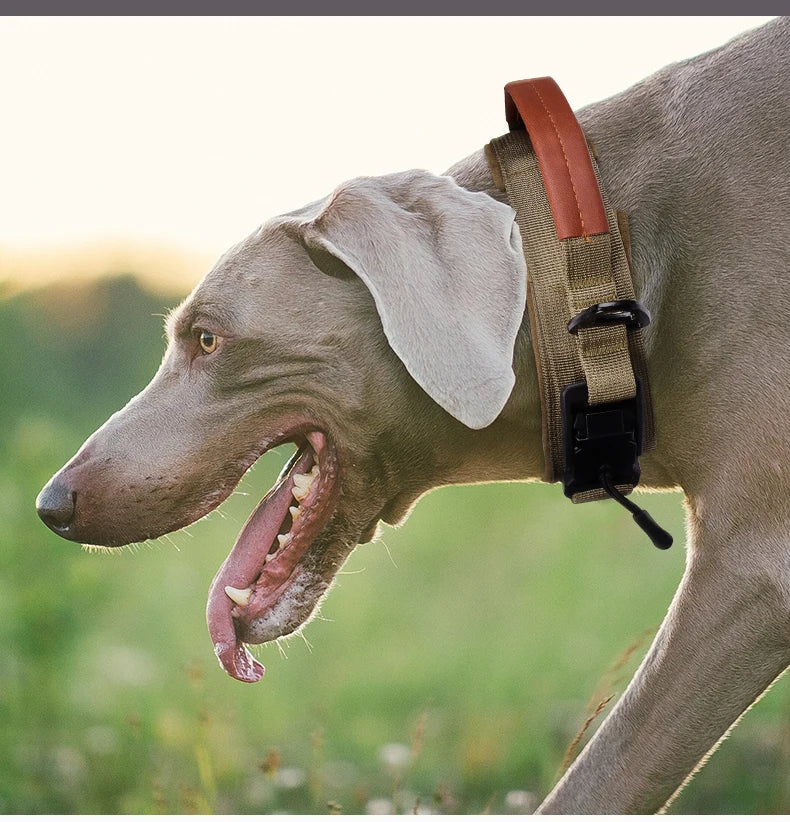 Dog Collar with Innovative Magnetic Buckle Secure and Stylish Magnetic Closure Collars Adjustable for Large Dogs Accessories