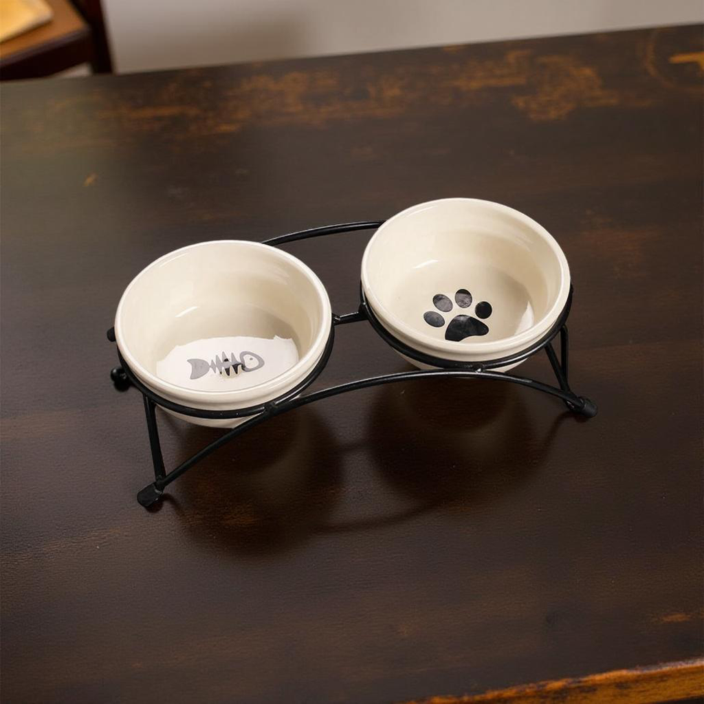 Elevated Ceramic Double Bowl - Rustic Iron Stand