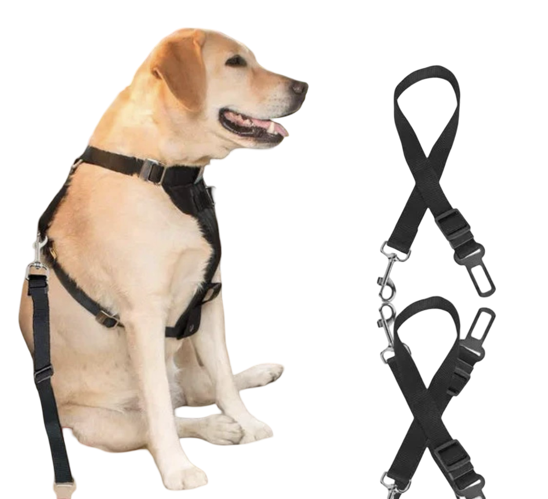 Adjustable Dog Seat Belt - Safety Harness for Car Travel
