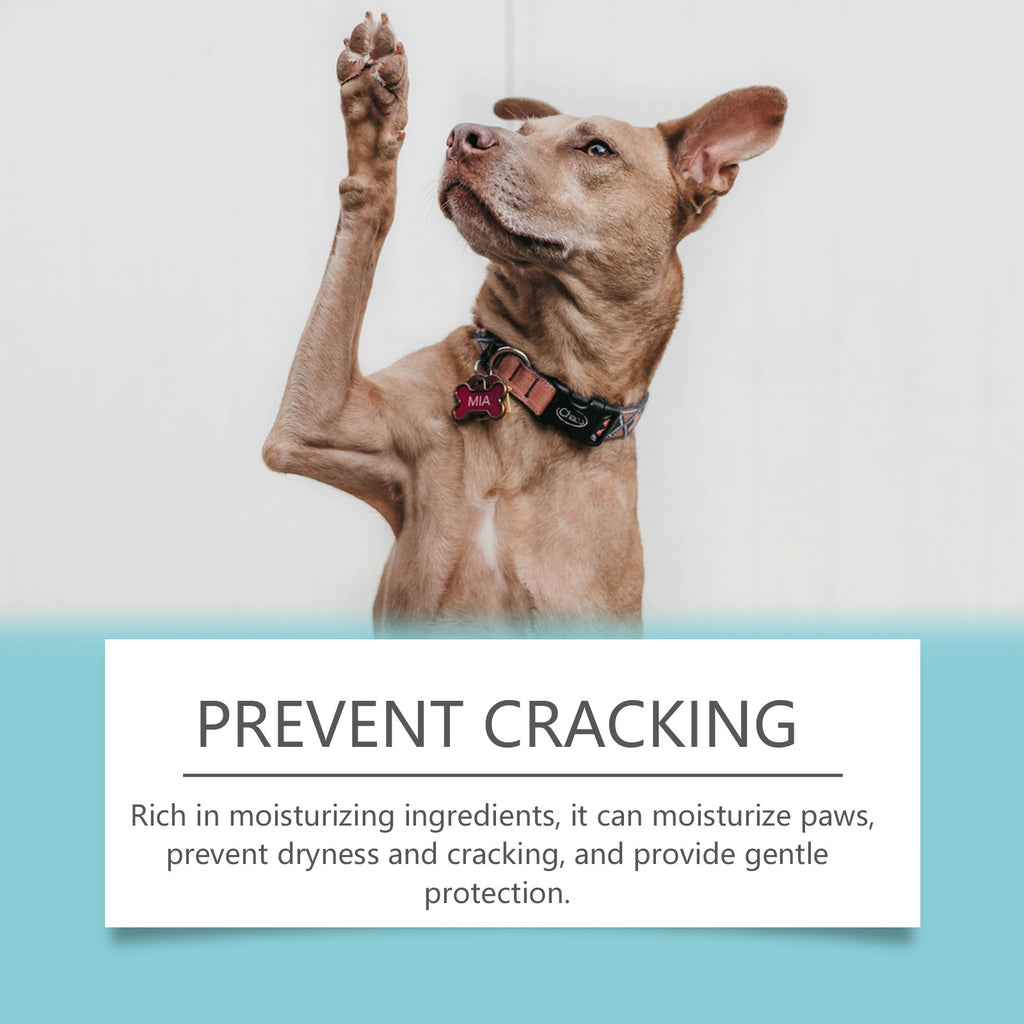 Winter Paw Care Kit - Muddy Paw Cleaner & Moisturizer