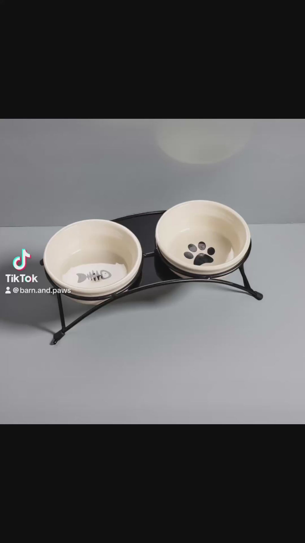 Elevated Ceramic Double Bowl - Rustic Iron Stand