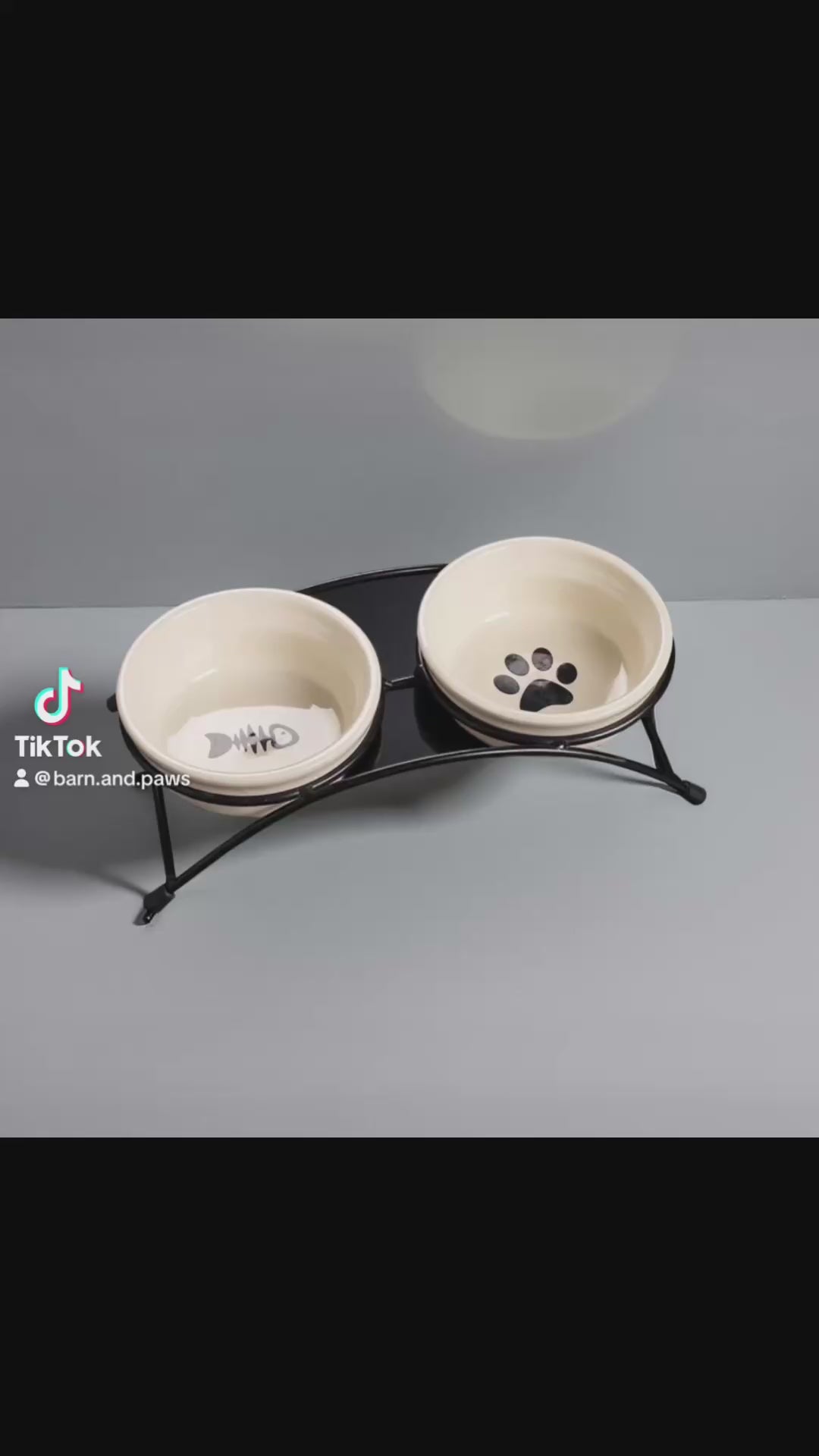 Elevated Ceramic Double Bowl - Rustic Iron Stand